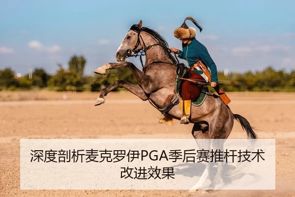 深度剖析麦克罗伊PGA季后赛推杆技术改进效果